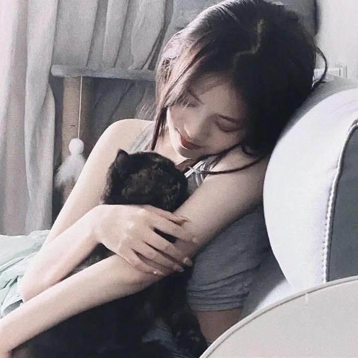 衣柜里的猫